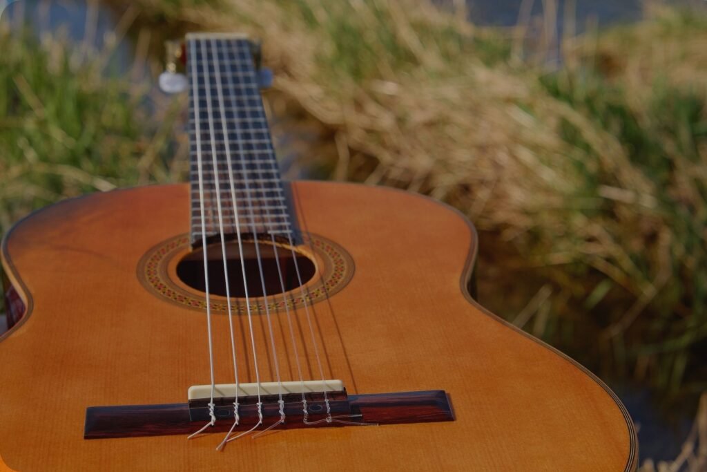 Acoustic Seagull S6 Original Guitar: