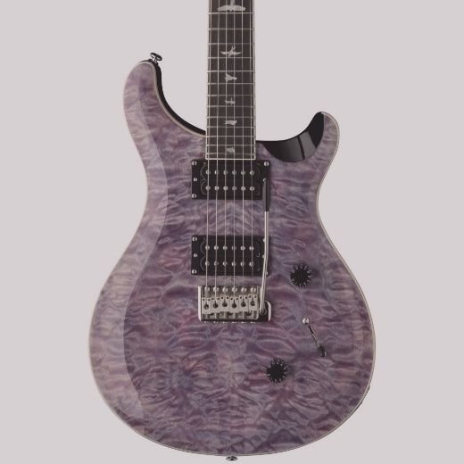  PRS SE Custom 24 Electric Guitar